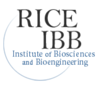 Rice IBB logo